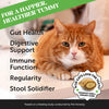 Pet Honesty Probiotics Gut + Immune Health for Cats