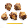 Supercan Bully Sticks Meaty Beef Knee Cap (Average Weight per bone: 120 g / 4.23 oz)