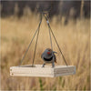 Perky-Pet® Hanging Tray Bird Feeder