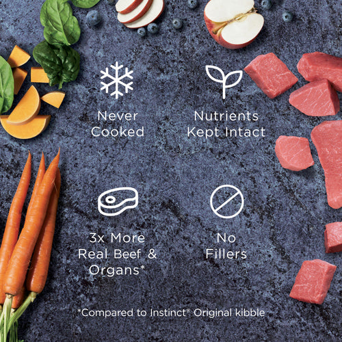 Instinct Raw Frozen Bites Real Beef Recipe