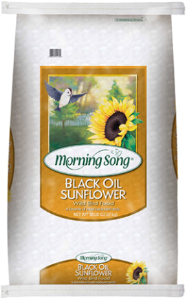 Morning Song Black Oil Sunflower Wild Bird Food (50 Lb)