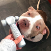 Bullymake Hammer Nylon Dog Toy For Super Chewers