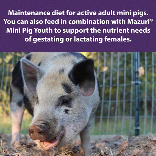 Mazuri® Mini Pig Active Adult (25 LB)