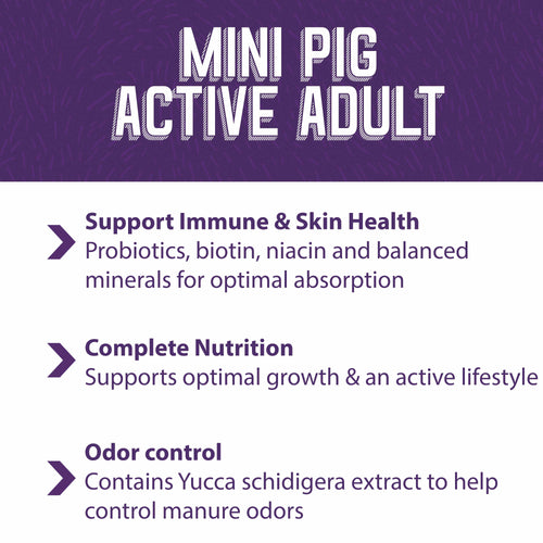 Mazuri® Mini Pig Active Adult (25 LB)