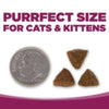 NutriSource® Cat & Kitten Chicken & Rice Recipe Healthy Cat & Kitten Food