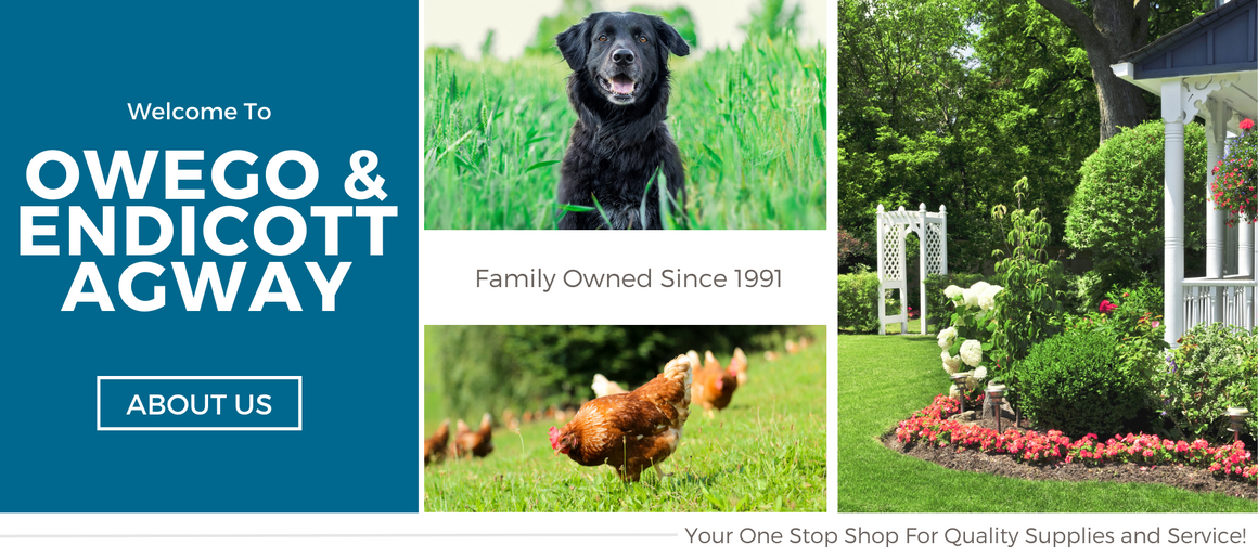 Garden Center - Owego, NY | Owego Agway