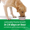 TropiClean Fresh Breath Dental Health Solution Supports Skin Health for Dogs