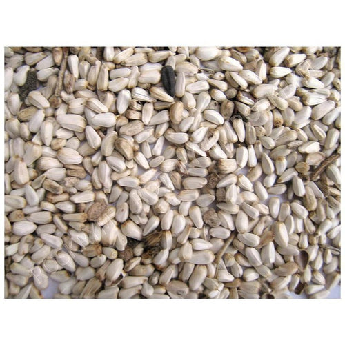 GENERIC SAFFLOWER SEED