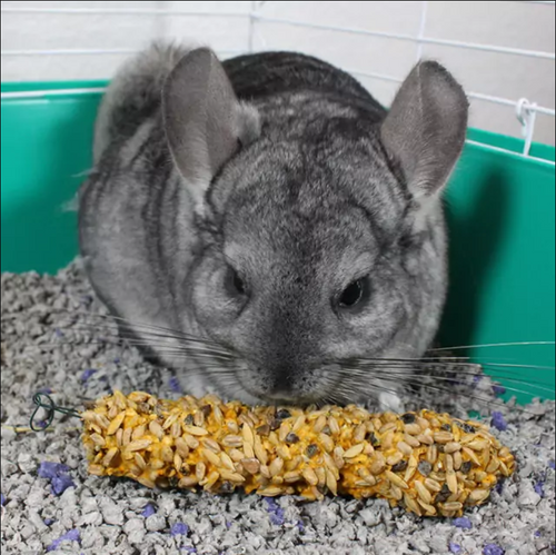 Vitakraft Crunch Sticks Honey Flavor with Added Calcium Treats