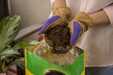 Scotts Miracle-Gro® Potting Mix