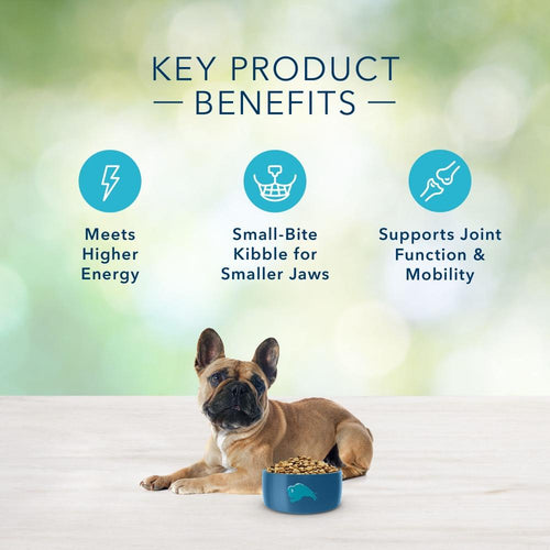 Blue Buffalo Freedom Grain Free Chicken Recipe Small Breed Adult Dry Dog Food