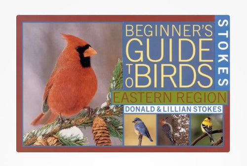 Stokes Beginner's Guide to Birds: Eastern Region
