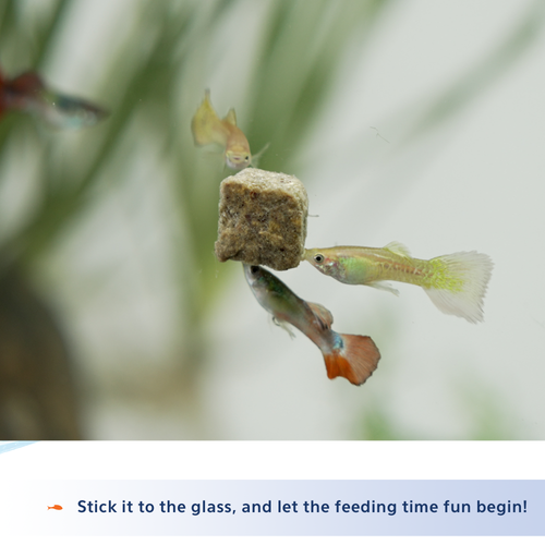 Aqueon Stick'ems™ Freeze-Dried Picky Eater Treat