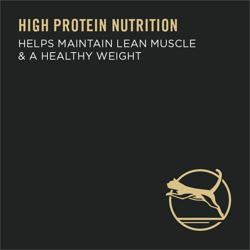 Purina Pro Plan Adult Indoor Turkey & Rice Formula Dry Cat Food