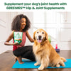 Greenies Hip & Joint Supplements