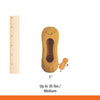 Nylabone Strong Chew Fillable Peanut Dog Toy