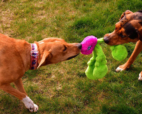 Cycle Dog Duraplush Radish Dog Toy
