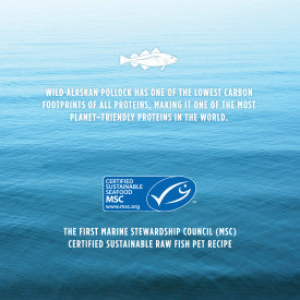 Nature's Variety Instinct Raw Longevity Adult Frozen Pollock Patties Dog Food