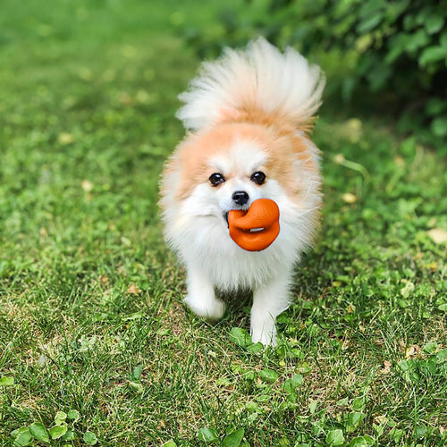 KONG Ogee Orb Dog Toy