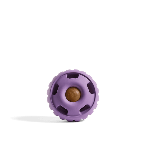Woof The Pupsicle Dog Toy