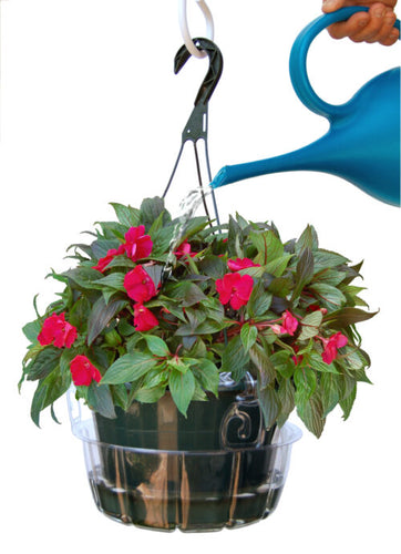 Plastec Hanging Saucer