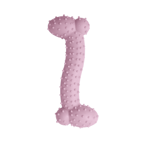 Snugarooz Lil Baby Bone Dog Toy