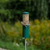 Birds Choice Squirrel Proof Classic Bird Feeder with Pole and Squirrel Baffle