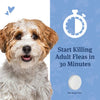PetArmor® CAPACTION® (nitenpyram) Oral Flea Treatment for Dogs