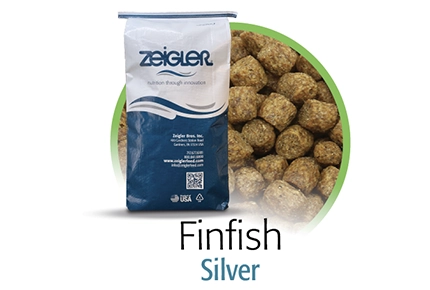 Zeigler Finfish Silver