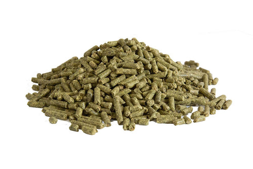 Kalmbach Guinea Pig Select