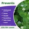 Bonide Chickweed, Clover & Oxalis Killer Ready-to-Use