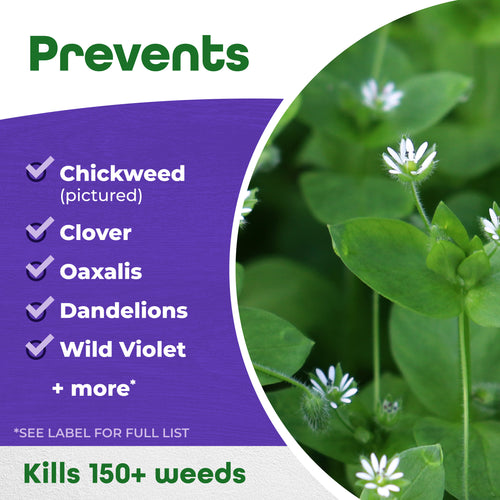 Bonide Chickweed, Clover & Oxalis Killer Ready-to-Use