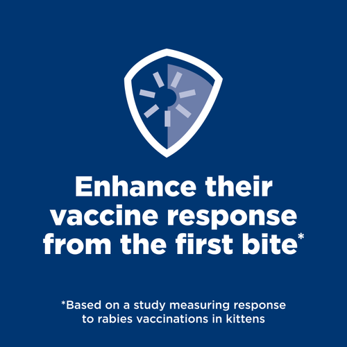 Hill's Science Diet Kitten Liver & Chicken Entrée Cat Food