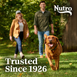Nutro Natural Choice Adult Large Breed Dry Dog Food, Chicken and Brown Rice Recipe