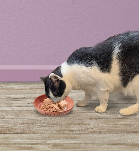 Ethical Pet Spot Portofino Dish Oval Cat Pink
