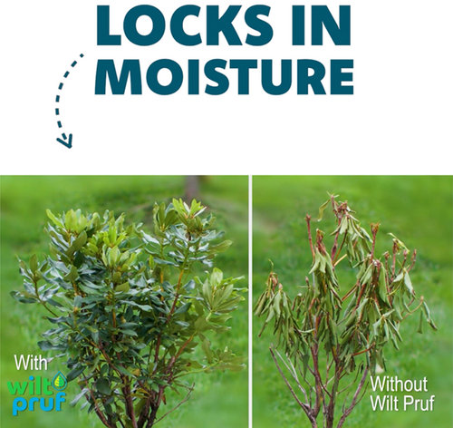 Wilt Pruf Concentrate
