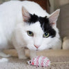 Coastal Pet Turbo Mop Mice Bulk Cat Toy Bin