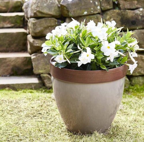 Southern Patio 15 Resin Hornsby Planter in Taupe Finish