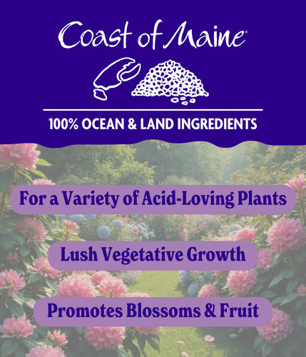 Coast Of Maine Rhodies Azaleas & Berries Fertilizer