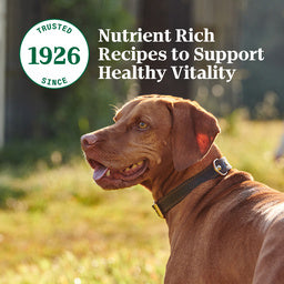 Nutro Hearty Stew Grain Free Meaty Lamb, Green Bean & Carrot Stew Adult Canned Dog Food