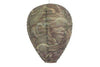 DeWitt Natural Wasp Away-Wasp Deterrent