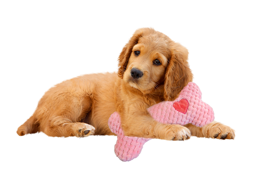Ethical Pet SPOT Soothers Warm Hugs Bone Asst 12″ Dog Toy
