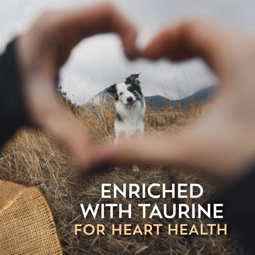 Wholesomes Sensitive Skin & Stomach Small Breed with Salmon Protein For Dogs & Puppies