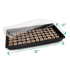 Jiffy Seed Starting Kit, 72 Cell 36mm Peat Pellets