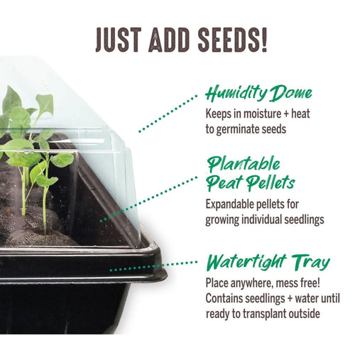Jiffy Seed Starting Kit, 72 Cell 36mm Peat Pellets