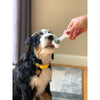 Nylabone Puppy Power Chew Knuckle Bone Pop-In Treat Toy & Treat Combo