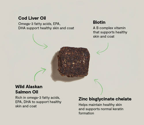 Open Farm Skin & Coat Supplement Chews for Dogs