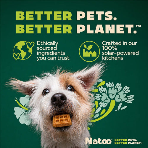 Natoo Crunchy Biscuits Peanut Butter Flavor Dog Treats