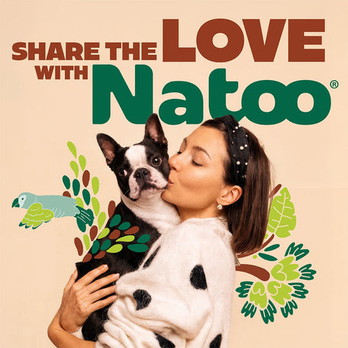 Natoo Crunchy Biscuits Peanut Butter Flavor Dog Treats