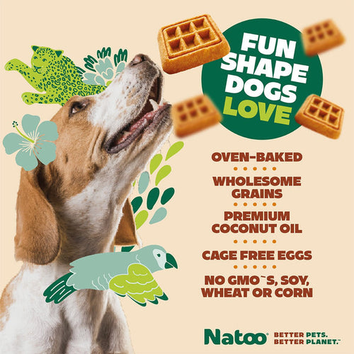 Natoo Crunchy Biscuits Peanut Butter Flavor Dog Treats